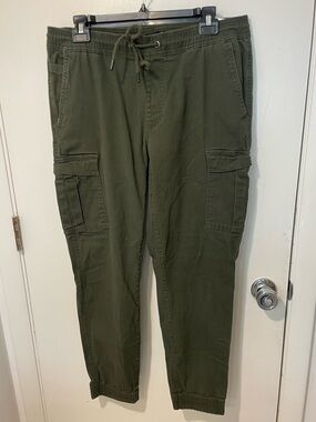 Tahari Slim Fit mens All Season Tech Jogger army olive green Size Large pants